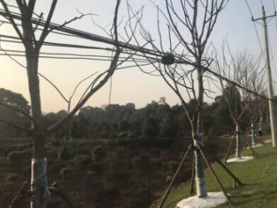 乐天堂·fun88(中国区) - 官方网站