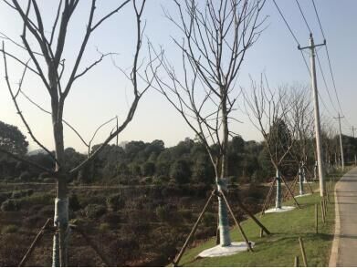 乐天堂·fun88(中国区) - 官方网站